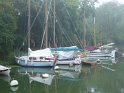 2017-09-28 09-48-32 Circuit les bords de la Vilaine MBo